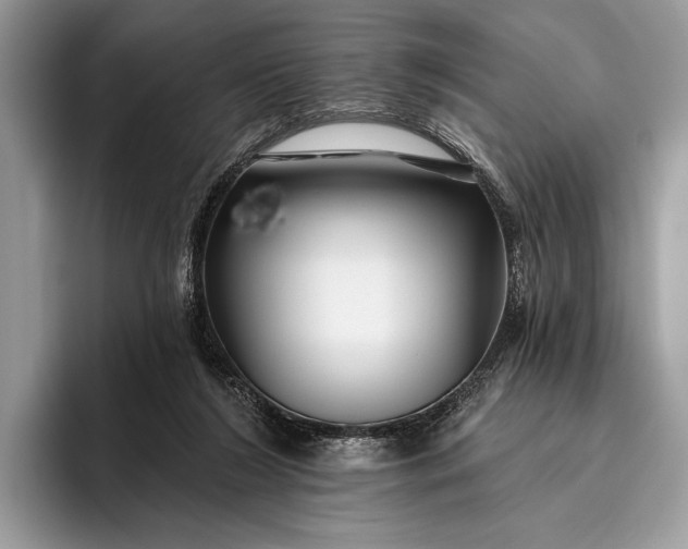 X0000095920212200801251036