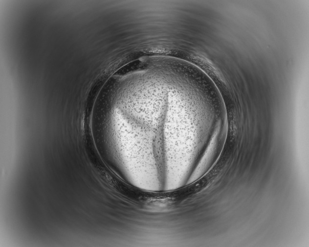 X0000095920213200801251036