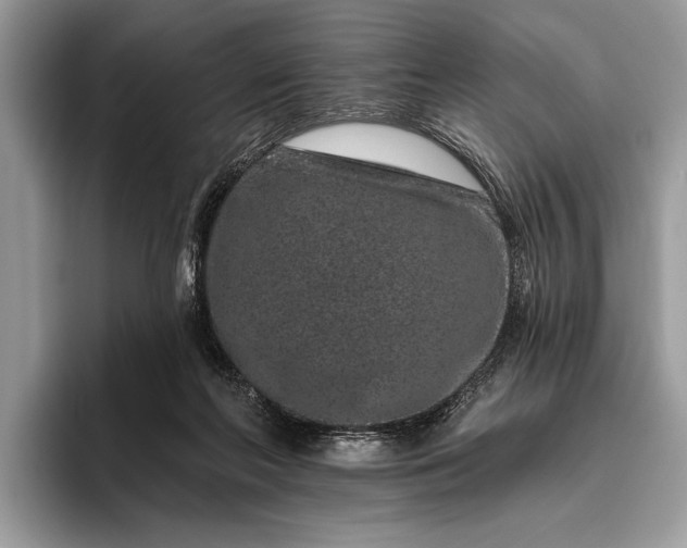 X0000095920214200801251036