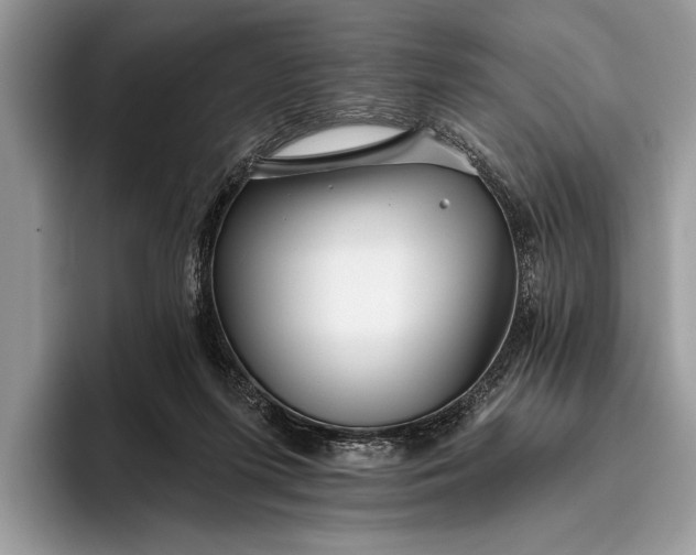 X0000095920215200801251036