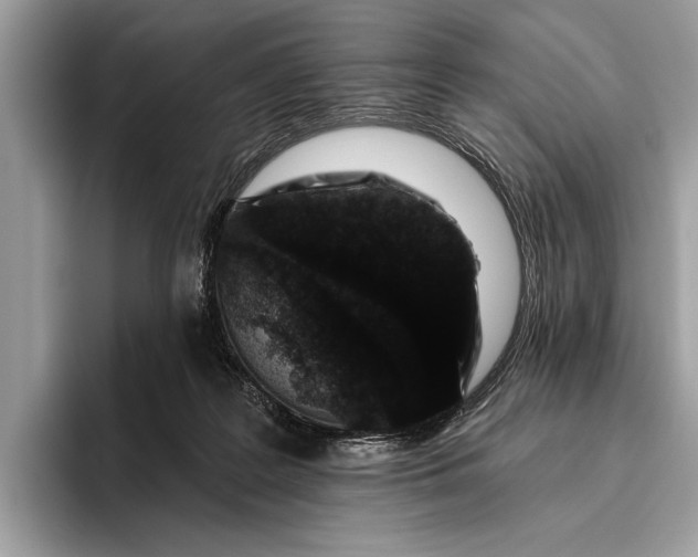 X0000095920219200801251036