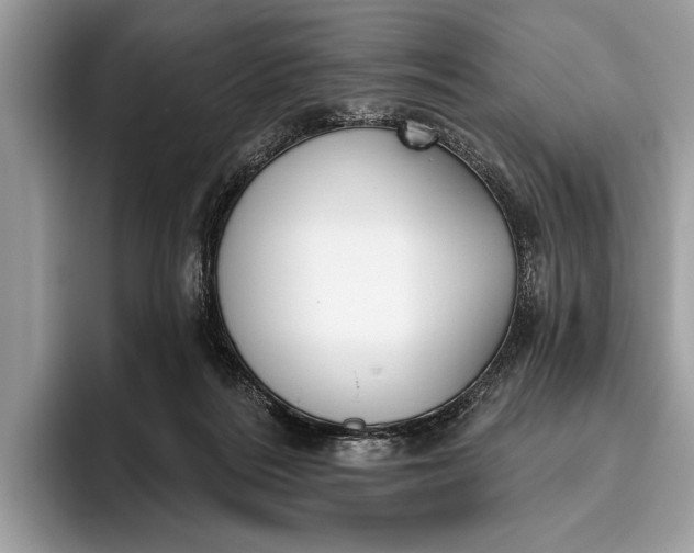 X0000095920220200801251036