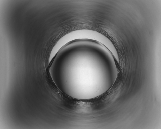 X0000095920221200801251036