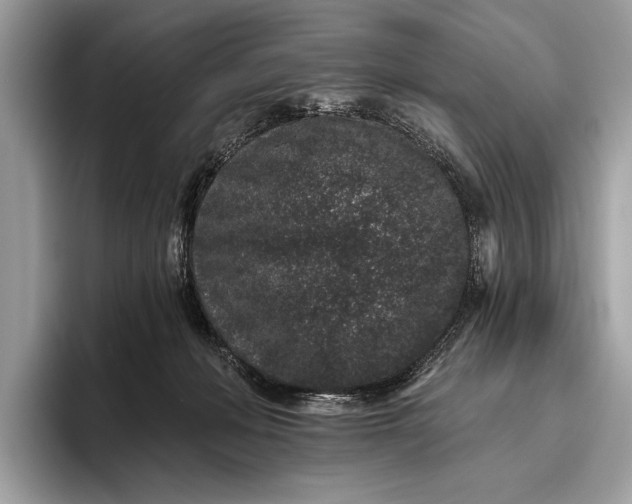 X0000095920222200801251036