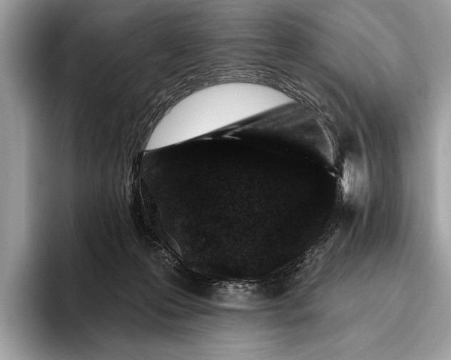 X0000095920223200801251036