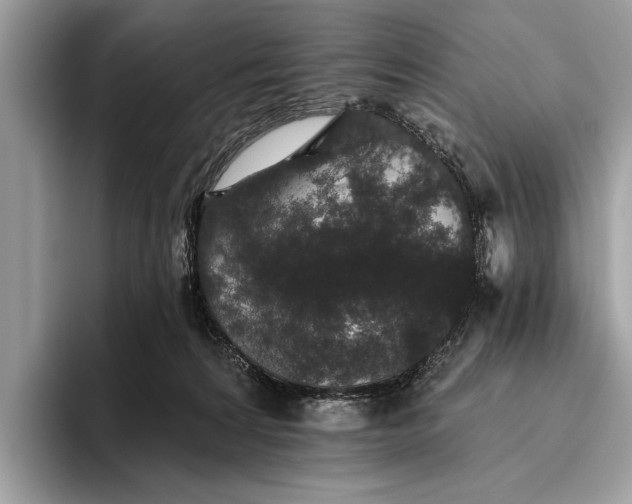 X0000095920224200801251036