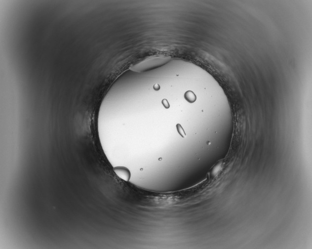 X0000095920225200801251036