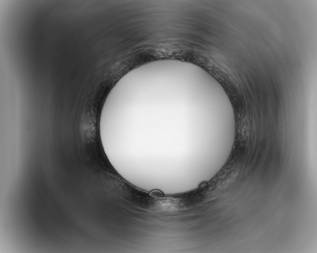 X0000095920226200801251036