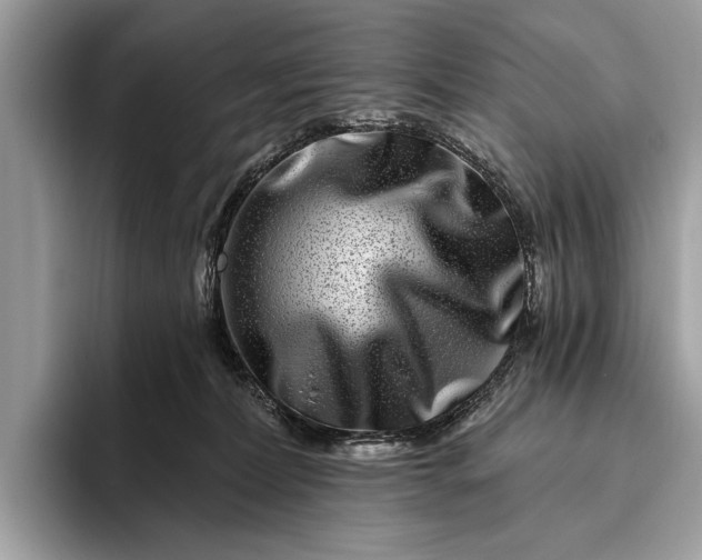 X0000095920228200801251036