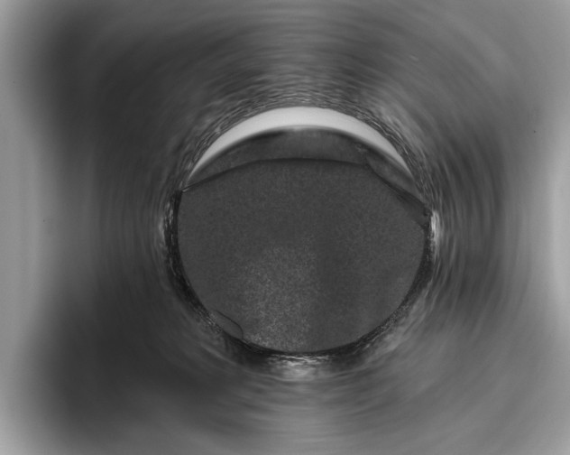 X0000095920229200801251036