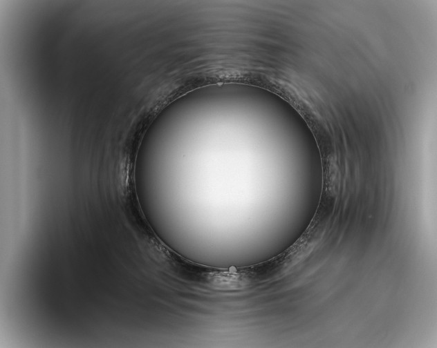 X0000095920230200801251036