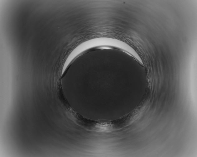 X0000095920231200801251036