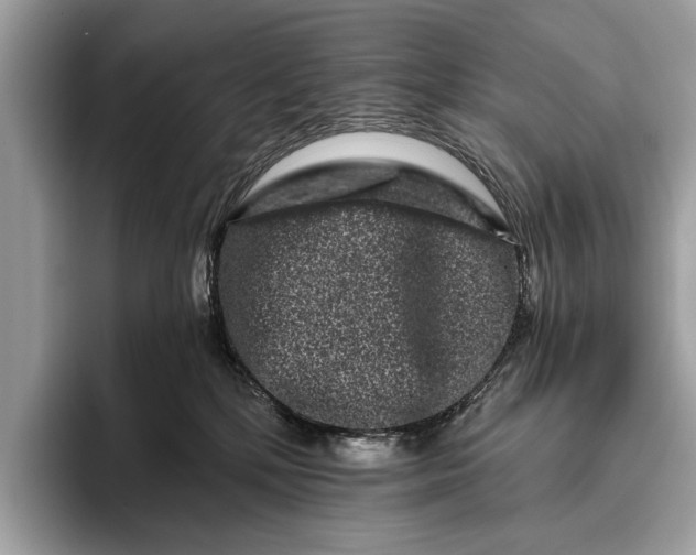 X0000095920232200801251036