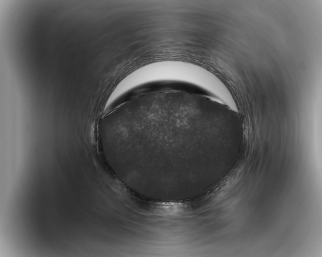 X0000095920233200801251036