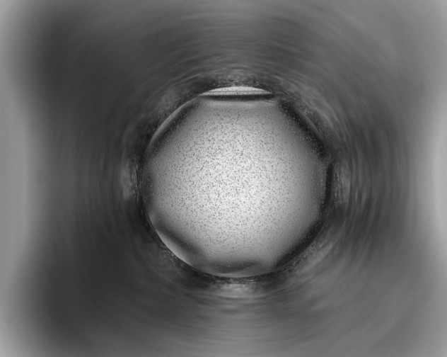 X0000095920236200801251036