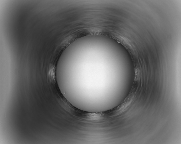 X0000095920238200801251036