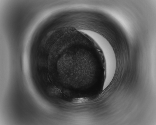 X0000095920239200801251036