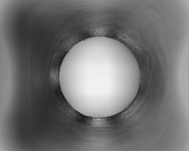 X0000095920240200801251036