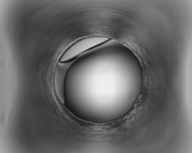 X0000095920241200801251035