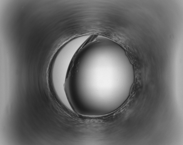 X0000095920242200801251035