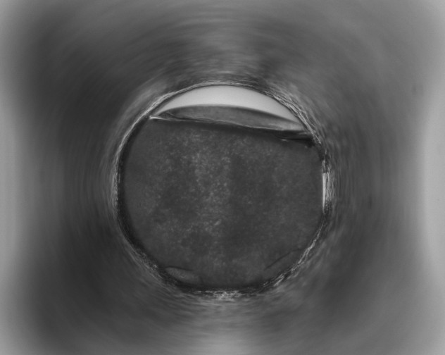 X0000095920243200801251035