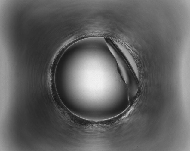 X0000095920244200801251035