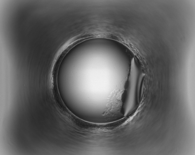 X0000095920246200801251035