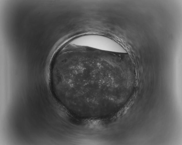 X0000095920247200801251035