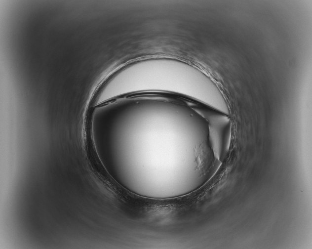 X0000095920248200801251035