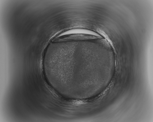 X0000095920249200801251035