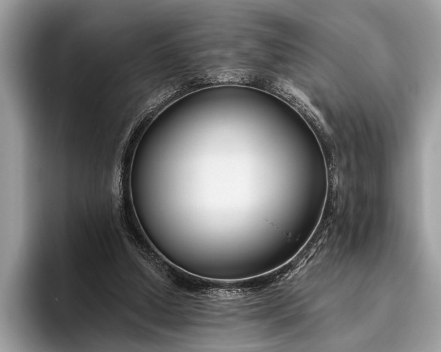 X0000095920250200801251035