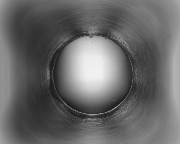 X0000095920251200801251035