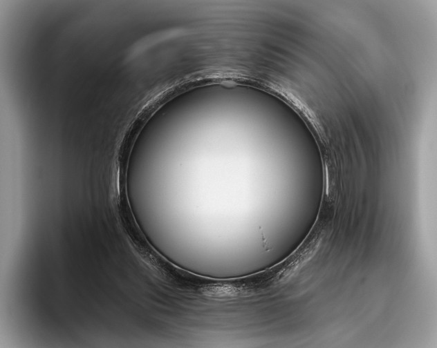 X0000095920253200801251035