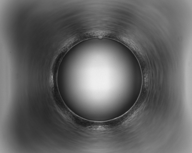 X0000095920254200801251035