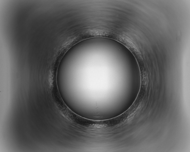 X0000095920255200801251035