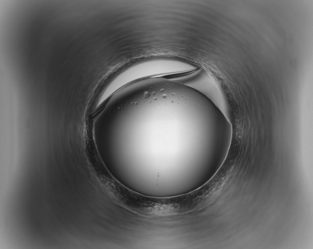 X0000095920256200801251035