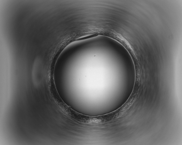 X0000095920257200801251035