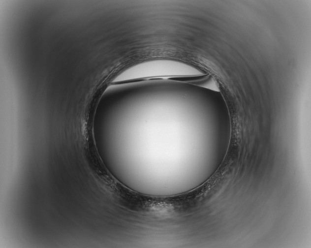 X0000095920258200801251035