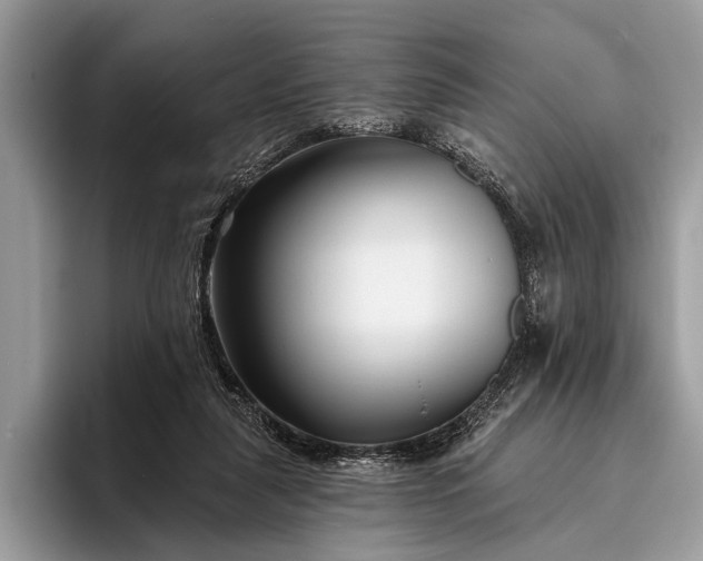 X0000095920259200801251035