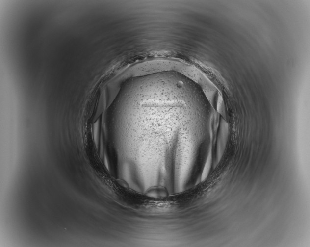 X0000095920260200801251035