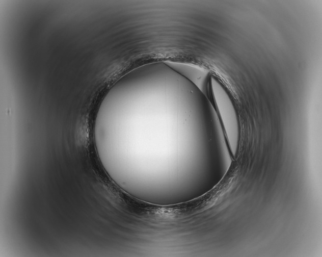 X0000095920261200801251036