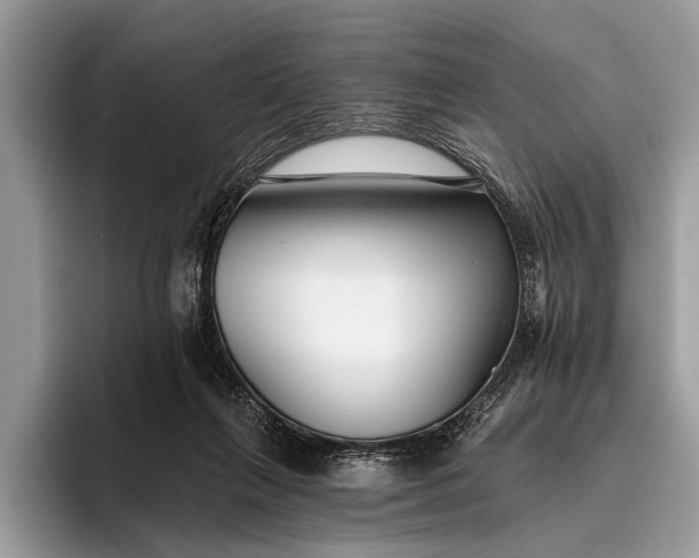 X0000095920263200801251036