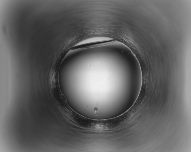 X0000095920264200801251036