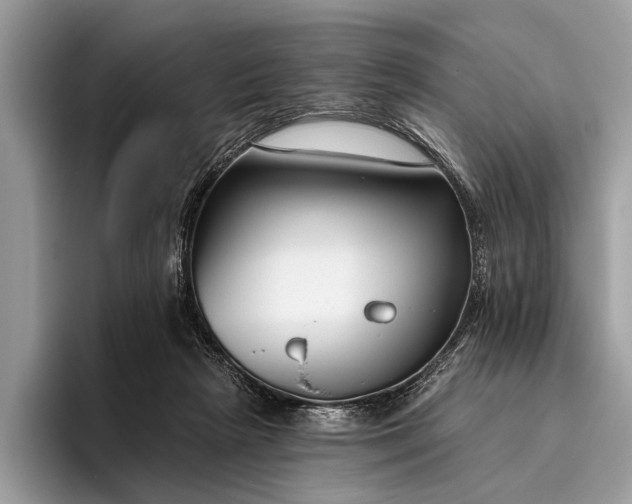 X0000095920265200801251036