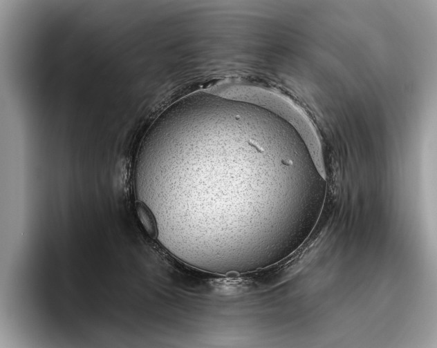 X0000095920273200801251036