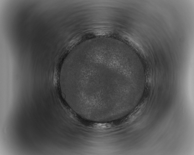 X0000095920277200801251036