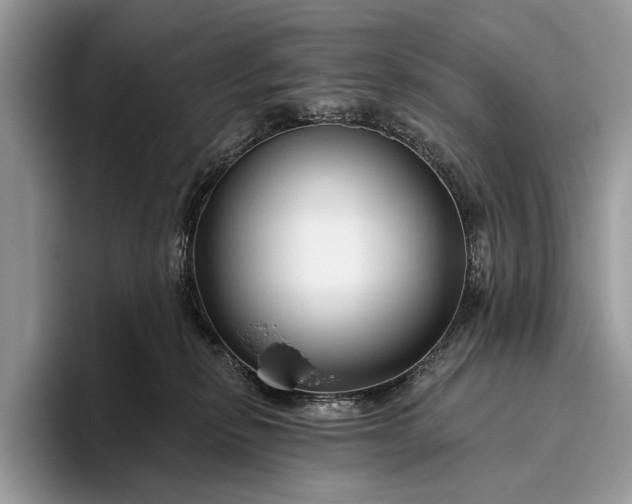 X0000095920278200801251036