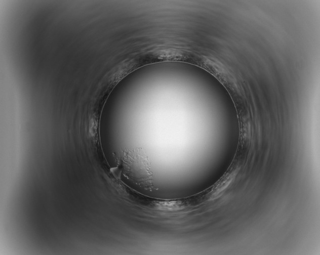 X0000095920281200801251036