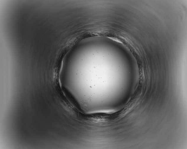 X0000095920284200801251036