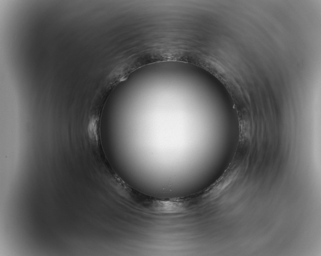 X0000095920286200801251036